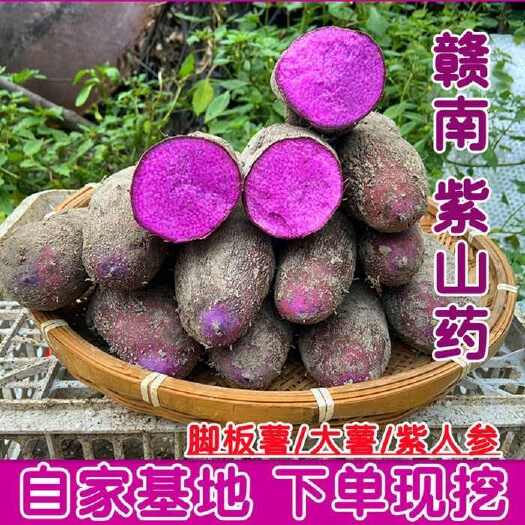 紫山药新鲜现挖紫大薯脚板薯农家种植山药紫薯现挖