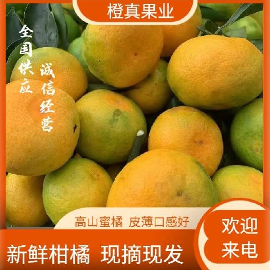 枝江市蜜桔  湖北特早蜜橘，个大皮薄，口感酸甜适中，入囗即化无渣，