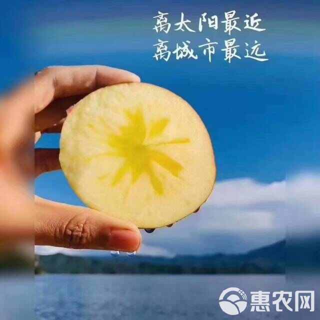 大凉山盐源苹果