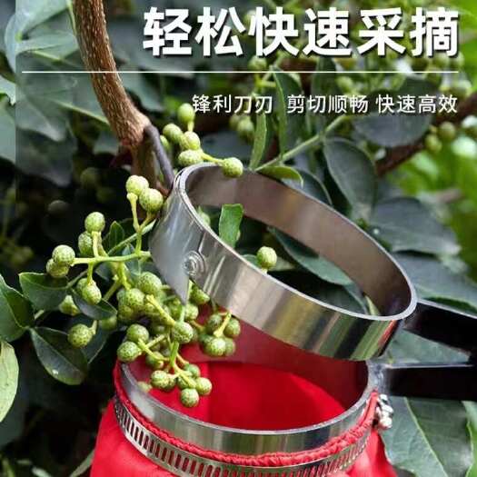 阳江新款花椒采摘器专用采摘机省力提高效率剪花椒枸杞工具摘花椒