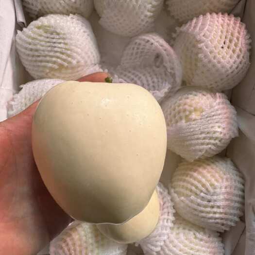 长期销售各类新鲜水果新鲜稳定