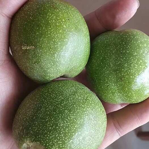 泽普县新鲜青皮核桃