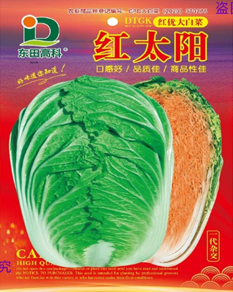 红优大白菜红太阳绿叶红心大白菜种子蔬菜种籽原装大白菜种子