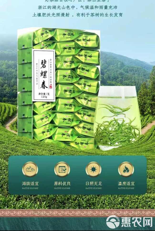 2024新茶碧螺春绿茶明前嫩芽一级绿茶口粮茶散装小包装礼盒装