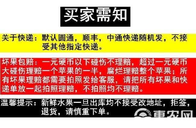 当季云南昭通丑苹果冰糖心新鲜水果脆甜多汁红富士整箱批发