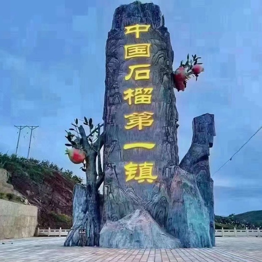 会理市会理软籽石榴