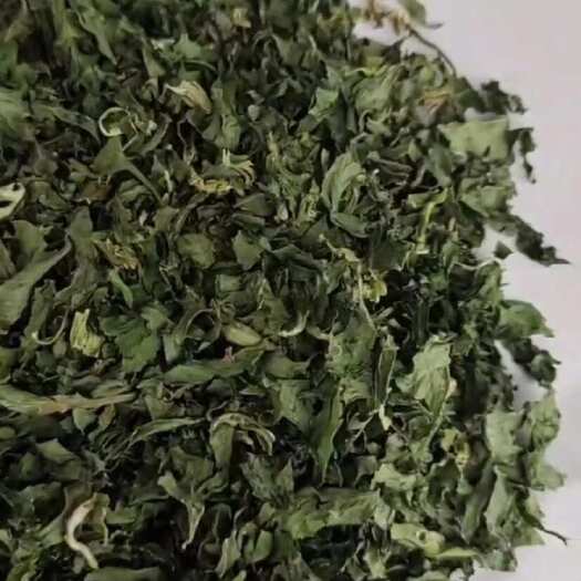 兴化市供应脱水芹菜叶 AD烘干芹菜叶 芹菜粉 散装批发脱水