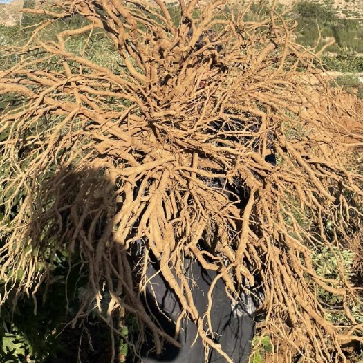 榆中县货大