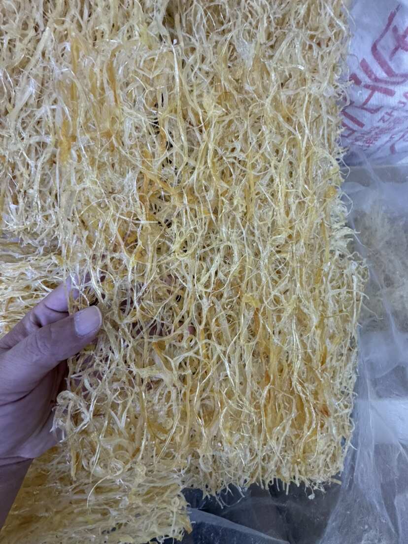 鱼翅 鱼翅翅饼翅针粗