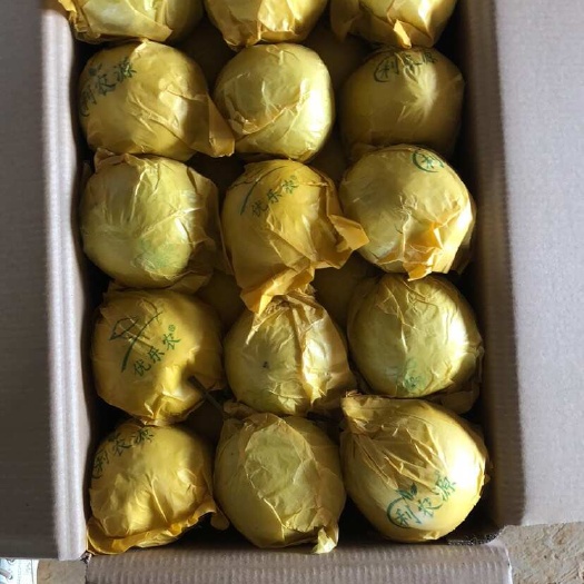 泸西县精品雪花，产地直供，货源充足，看上的老板联系