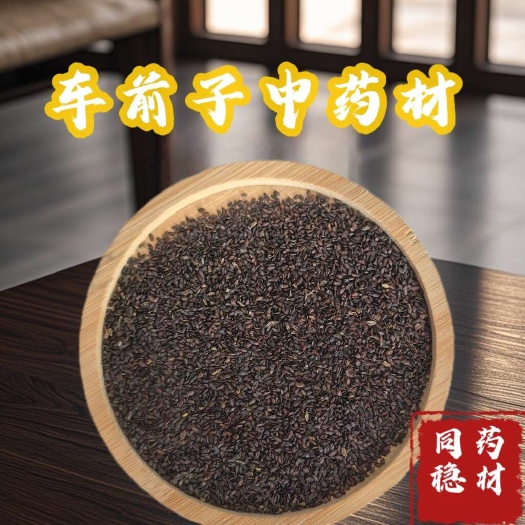 【同稳药材】车前子 产地江西 无杂 无沙粒 新货净货 良心