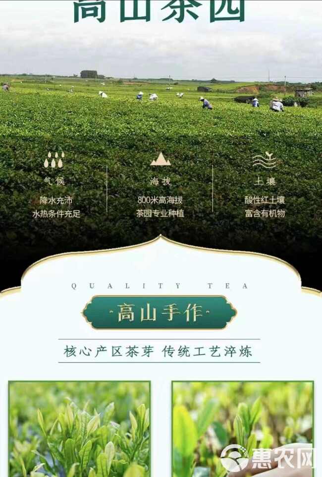 2024新茶碧螺春绿茶明前嫩芽一级绿茶口粮茶散装小包装礼盒装