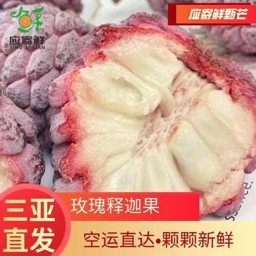 三亚玫瑰释迦果
