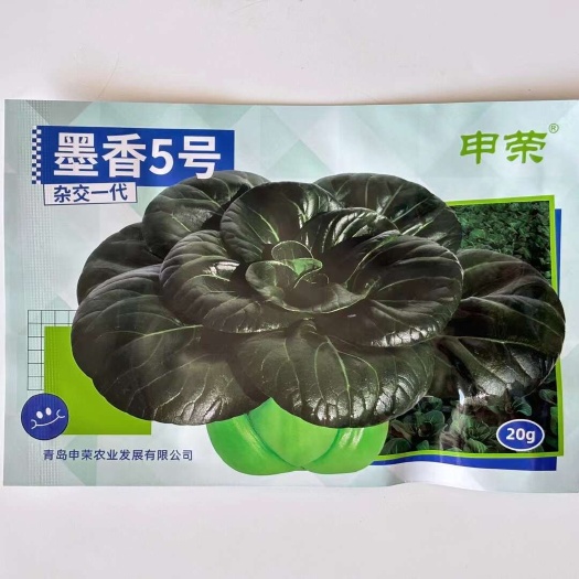 沭阳县正品黑叶墨香5号青菜种子黑大头肉厚趴地菜小油菜种籽四季耐寒抗