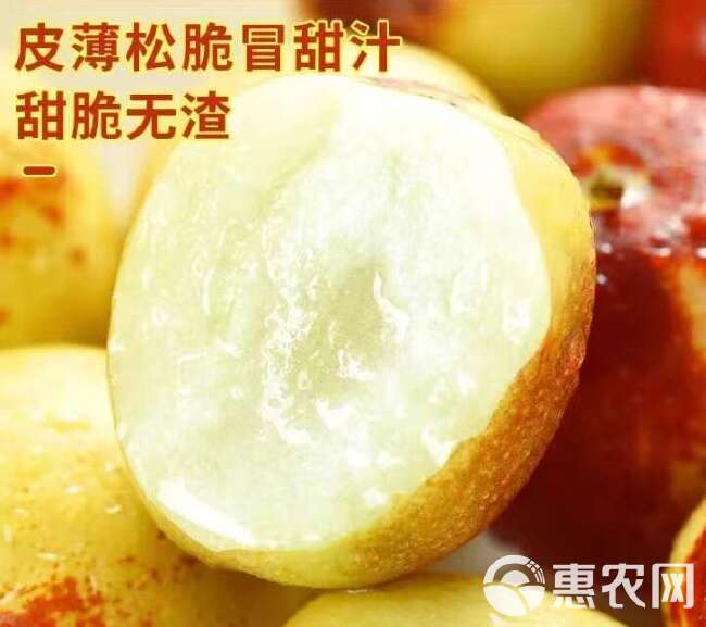 陕西大荔冬枣新鲜脆甜枣子红枣当季新鲜水果青枣整箱包邮