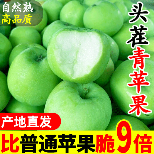 揭阳青苹果酸脆新鲜水果孕妇苹果当季应季小青苹果整箱批发