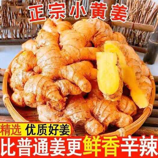 昆明农家自种小黄姜新鲜现挖生姜月子姜土生姜适用时蔬整箱新鲜多汁姜