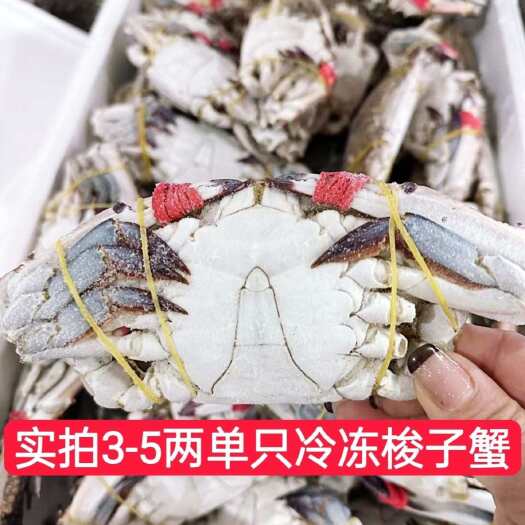 连云港梭子蟹3斤2-4两/只新鲜速冻大螃蟹梭子蟹海蟹青蟹白蟹飞蟹肥