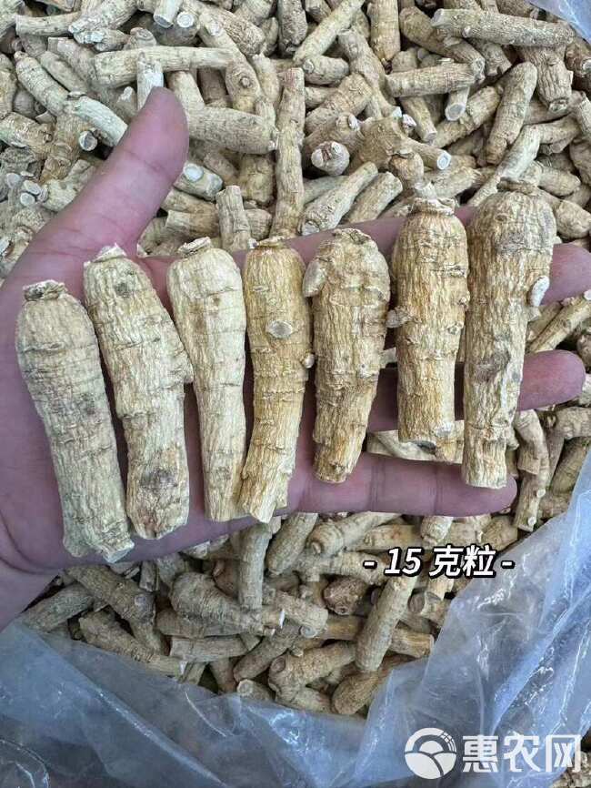 西洋参花旗参 西洋参两面粒一手货源全国发货量大价优