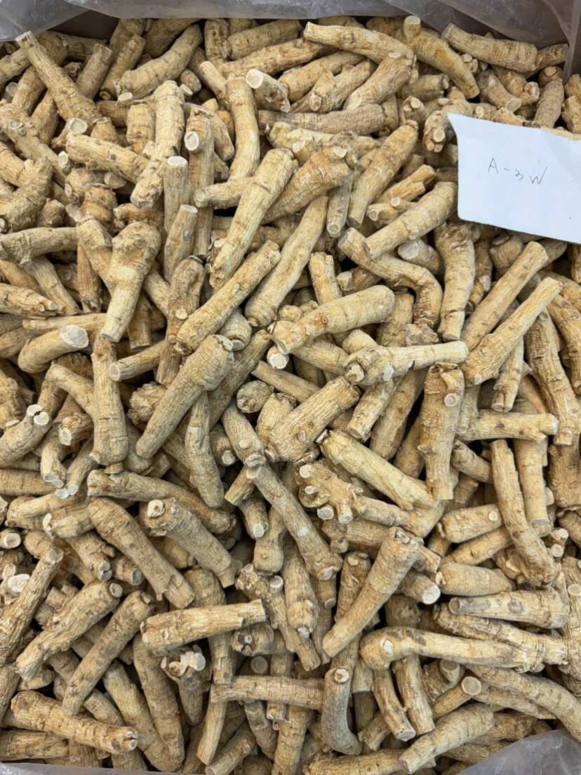 广州西洋参花旗参 西洋参两面粒一手货源全国发货量大价优
