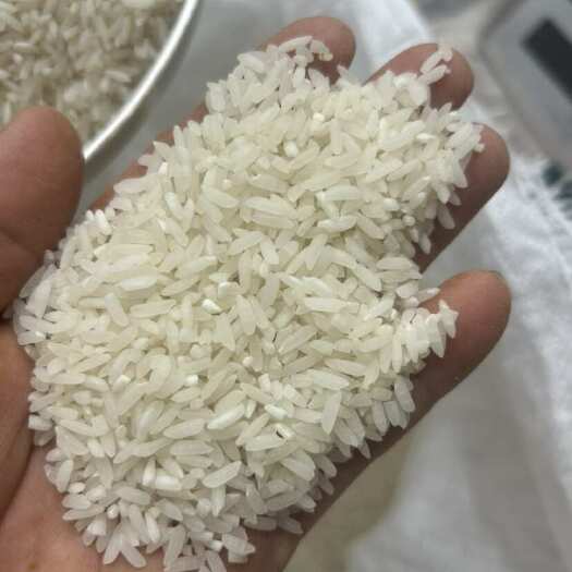 华坪县籼稻谷