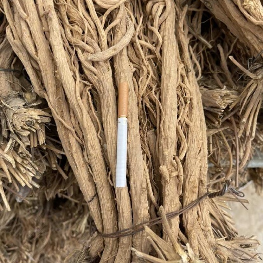 甘肃定西陇西县产地直发优质防风中药材支持整车物流按需包装