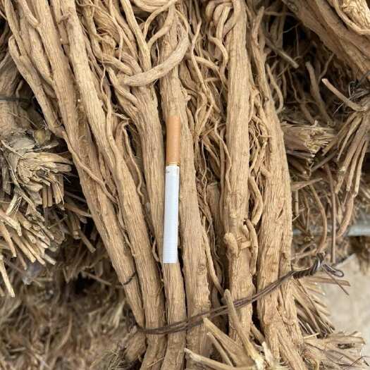 陇西县甘肃定西陇西县产地直发优质防风中药材支持整车物流按需包装