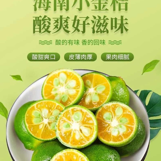 海南小青桔小金桔小柠檬全国批发！