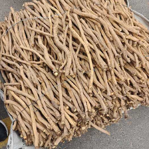 岷县关防风，微甜，干度好，质量有保障