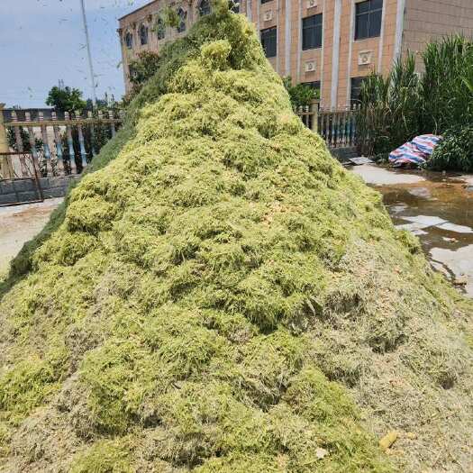 芜湖青储，黄储，新鲜甜嫩玉米芯玉米皮粉碎