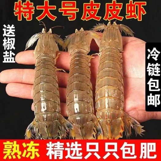 连云港皮皮虾鲜活一名虾爬子超特大批发海鲜海虾新鲜蒸熟全母带膏皮皮虾