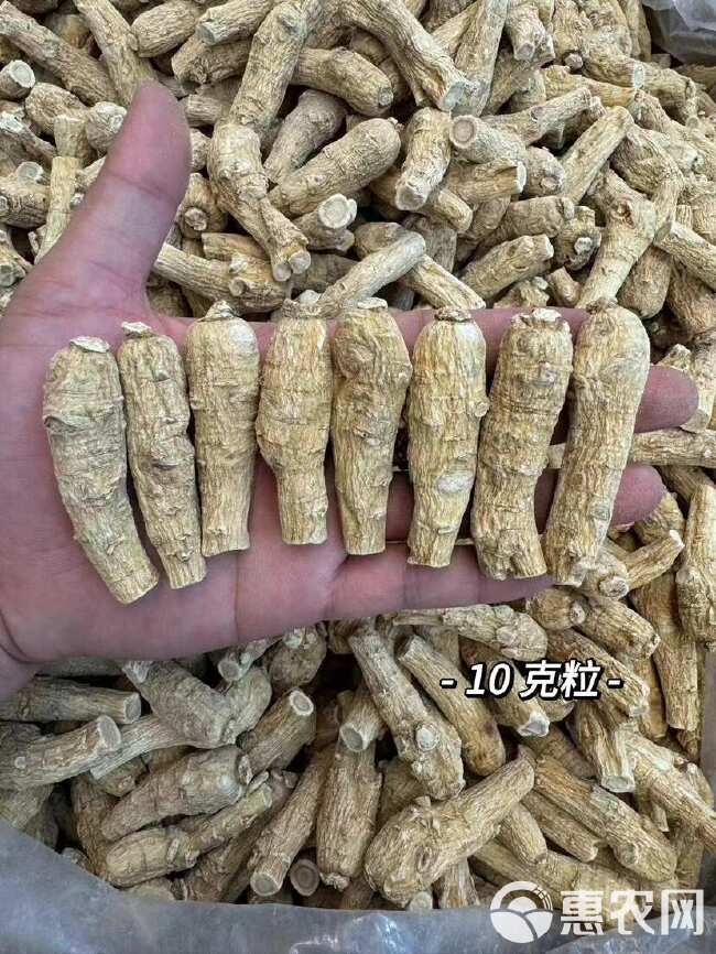 西洋参花旗参 西洋参两面粒一手货源全国发货量大价优