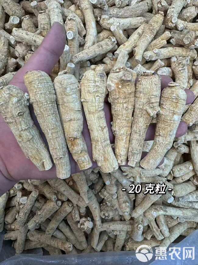 西洋参花旗参 西洋参两面粒一手货源全国发货量大价优