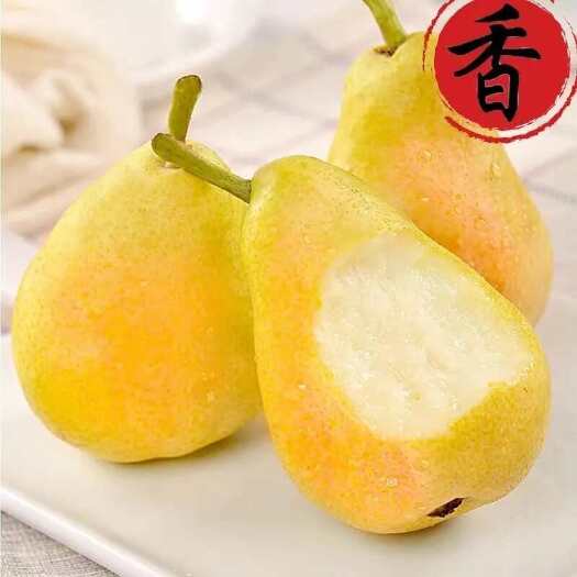 天水甘肃香蕉梨太婆梨水果新鲜大头梨茄梨软梨当季整箱啤梨5/