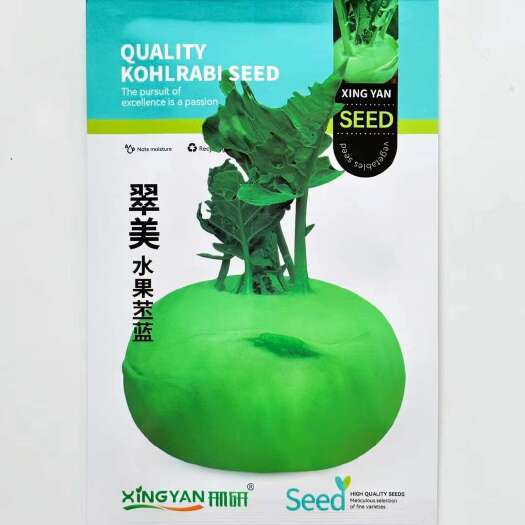 沭阳县翠美水果苤蓝种子球茎苤菜天津青苤蓝大头菜薄皮生吃脆甜嫩芥兰头