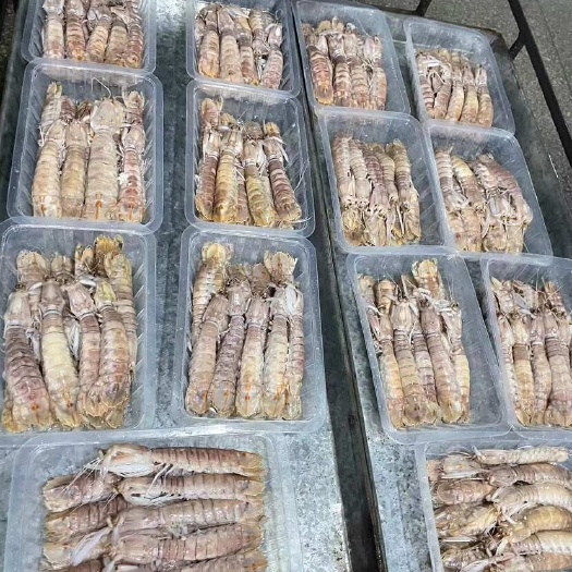 北海活冻皮皮虾  大膏中膏  大中小肉
