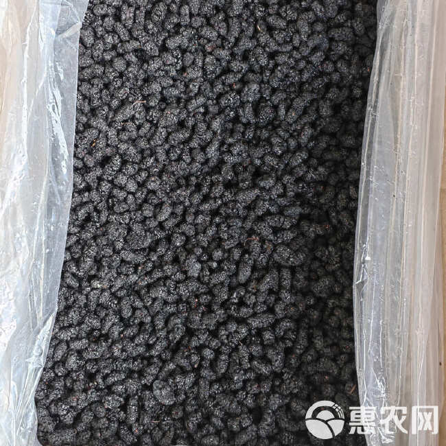 桑葚桑椹干，量大从优批发价品质有保障