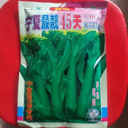 广东广州宁夏45天油绿甜菜心种子400克早熟苔粗圆叶菜心青菜宁夏菜心