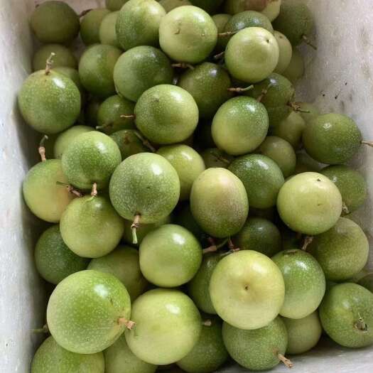 南宁黄金百香果钦蜜9