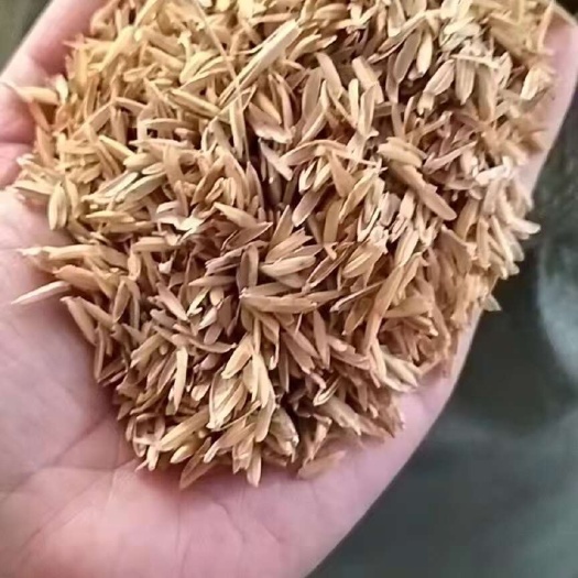云南压缩稻壳