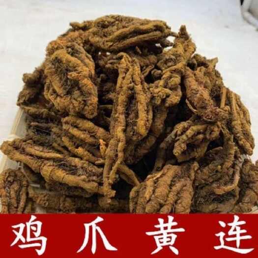 利辛县鸡爪黄连