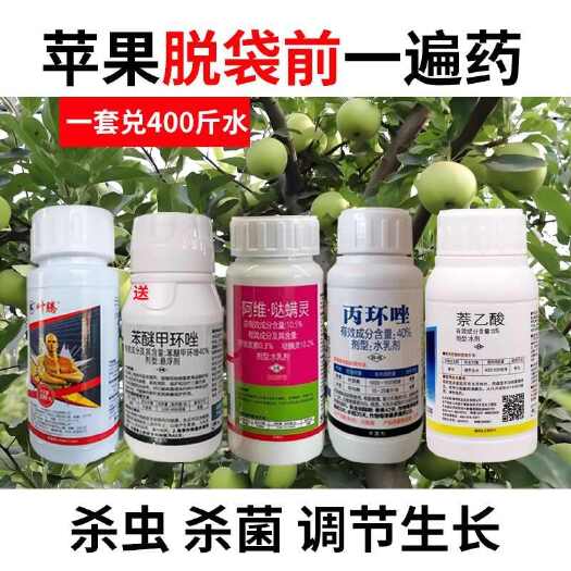 果树脱袋前一遍药斑点落叶病炭疽病红蜘蛛蚜虫套袋果树最后一遍药