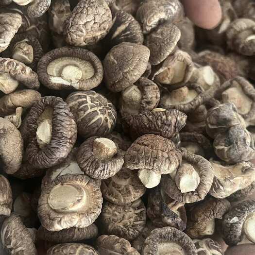泌阳特产干香菇 源头产地 品质保证 批发零售 供应各种商超