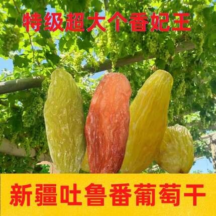 阿克苏市新疆特产吐鲁番市超大颗粒香妃王葡萄干红绿香妃500g袋装免洗果