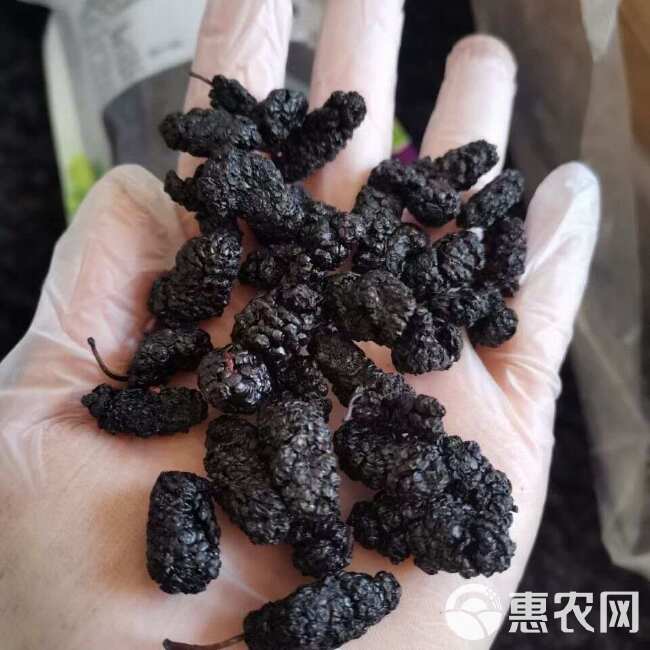 桑葚桑椹干，量大从优批发价品质有保障