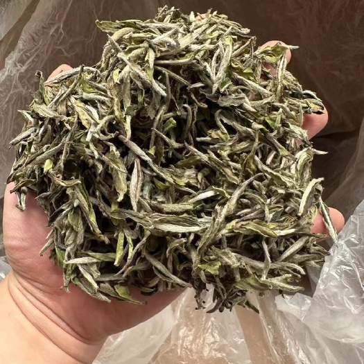 松阳县白牡丹茶