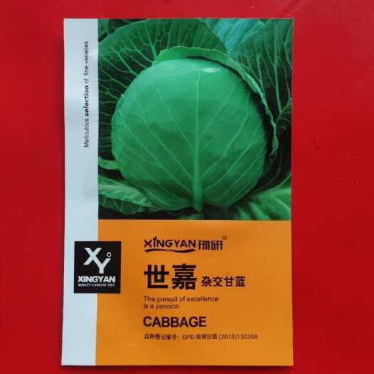 广州世嘉杂交甘蓝种子10克包装圆球型中早熟叶片深绿色抗病优质型
