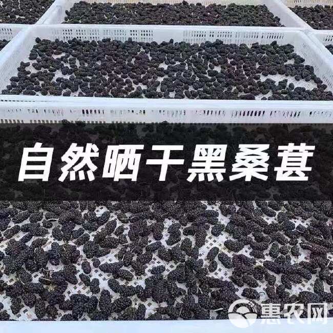 桑葚桑椹干，量大从优批发价品质有保障