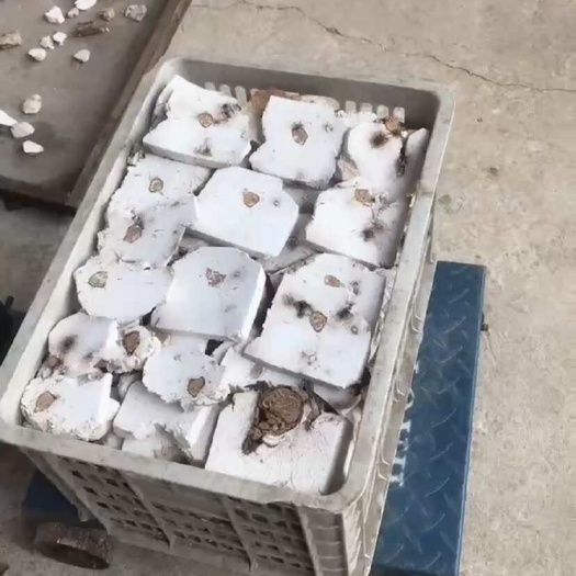 靖州县茯神统货