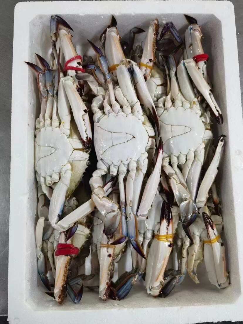 高品质排箱冷冻梭子蟹